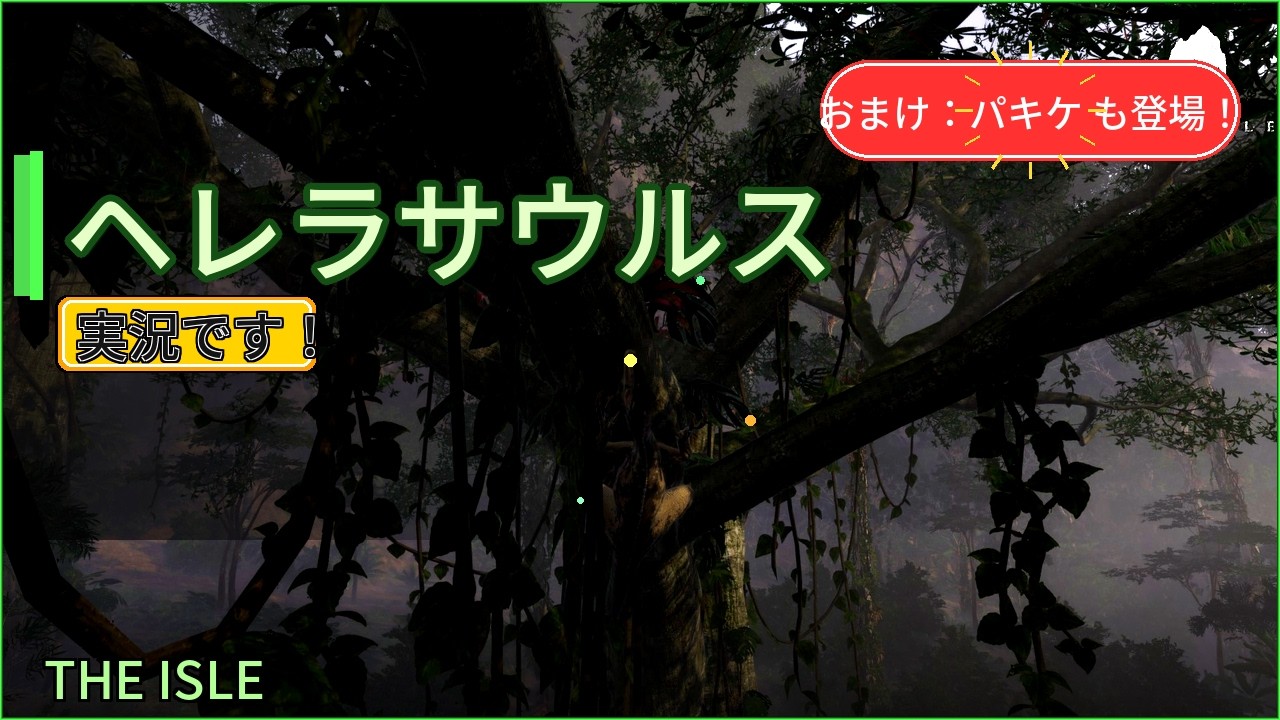 へレラで暗殺を行っていく。【おまけパキケ付き】