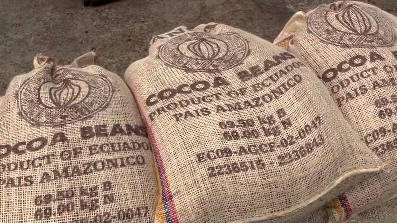 Tipos de Fermentación