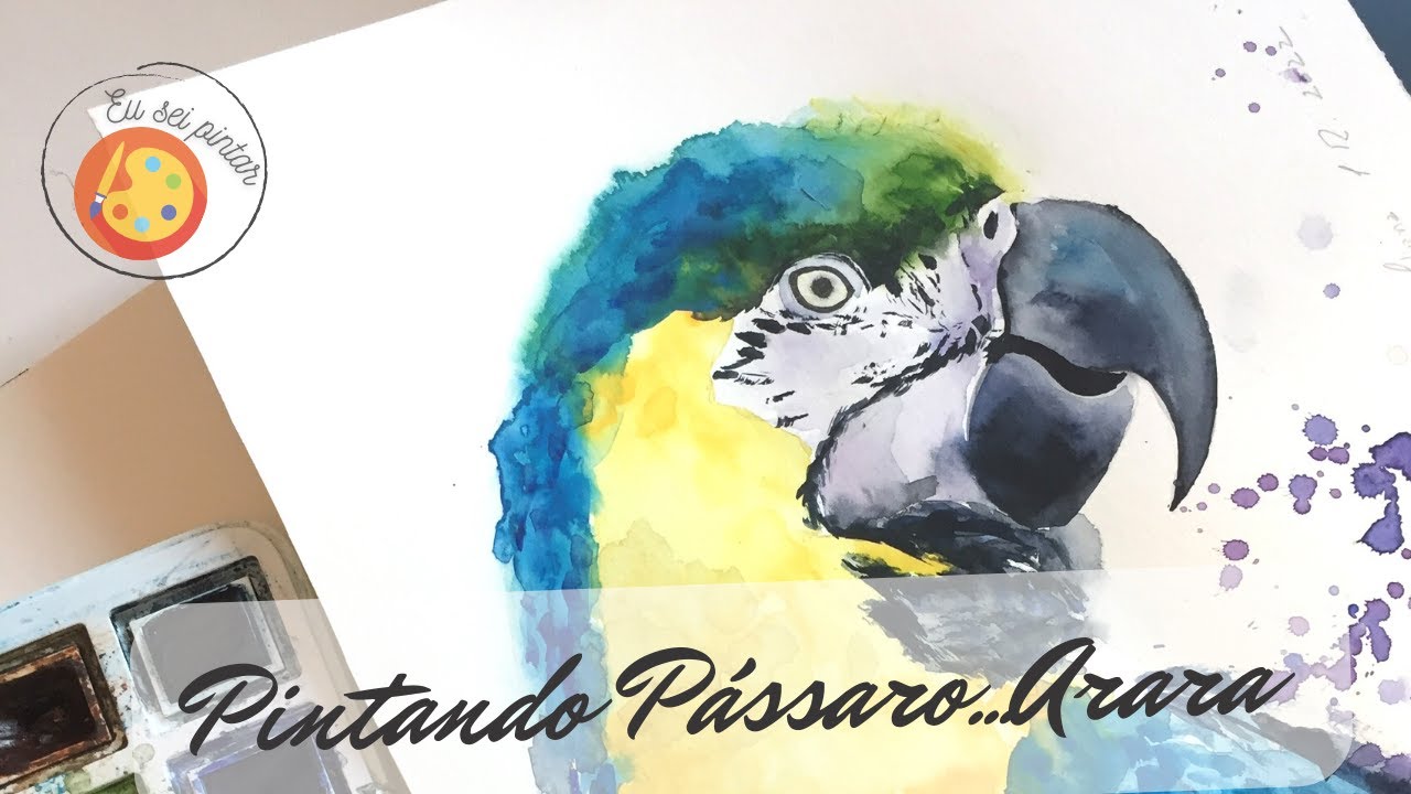 Pintura de ARARA em aquarela - Fácil e Rápida