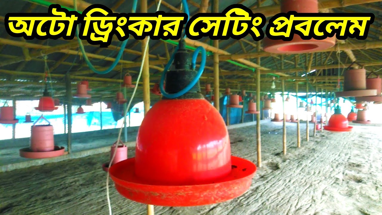 অটো ড্রিংকার সেটিং প্রবলেম। Auto drinker setting problem। Auto drinker price। Auto drinker