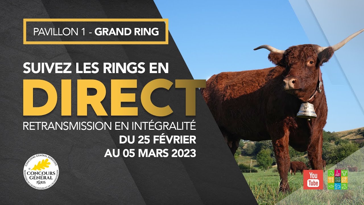 Grand Ring 02/03/2023