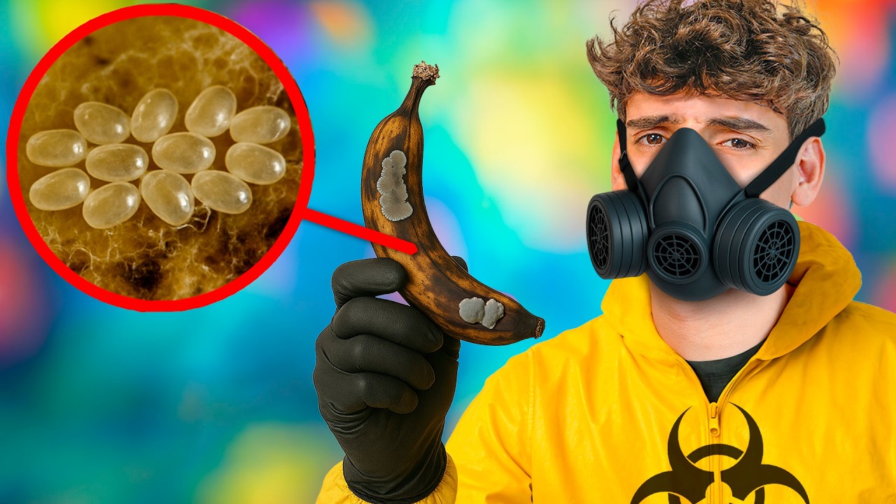 ⚠️Creo Peligroso Ecosistema de Bacterias Microsc&oacute;picas⚠️