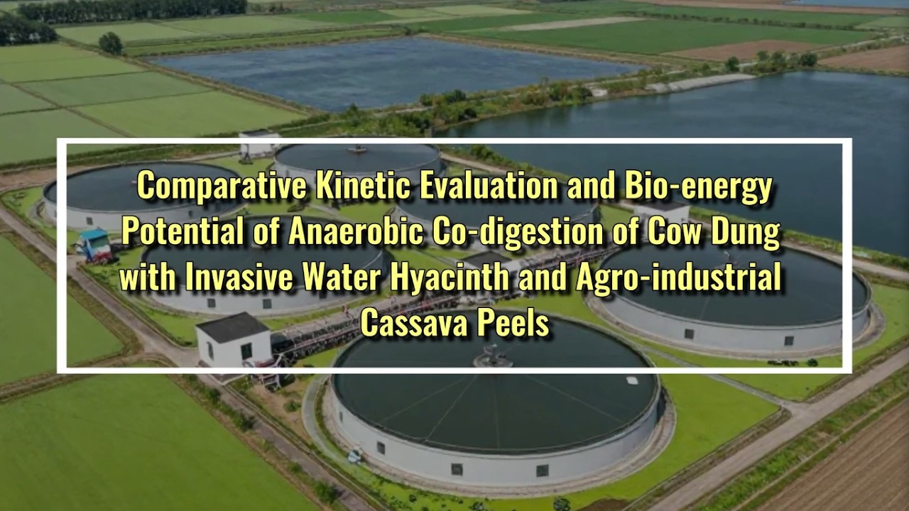 Solving Nigeria's Waste & Energy Problem with One Digester