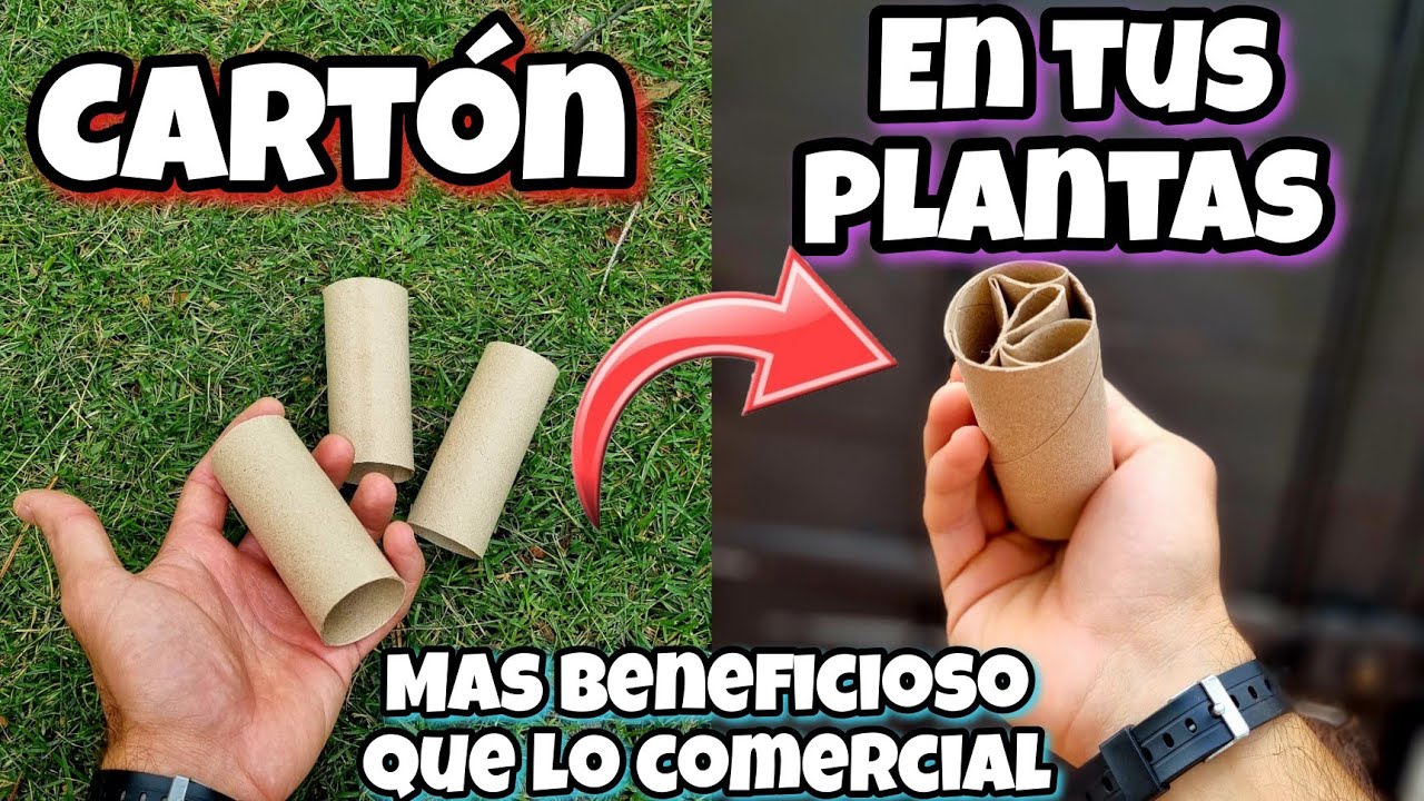 📦 NUNCA JAMÁS TIRES las cajas de CARTÓN a la basura! Usos del Cartón en las Plantas, Huerto y Jardín
