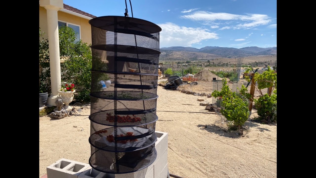 Hanging Dehydrating Rack Review - Does it work?