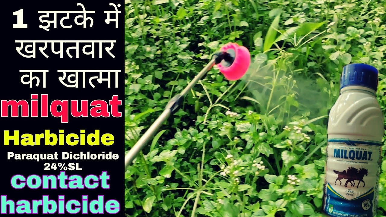 खरपतवार नाशक | harbicide | milquat | PraveenThakur | Paraquat Dichloride 24% स्ल