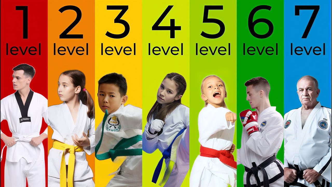 The 7 Levels of Taekwondo