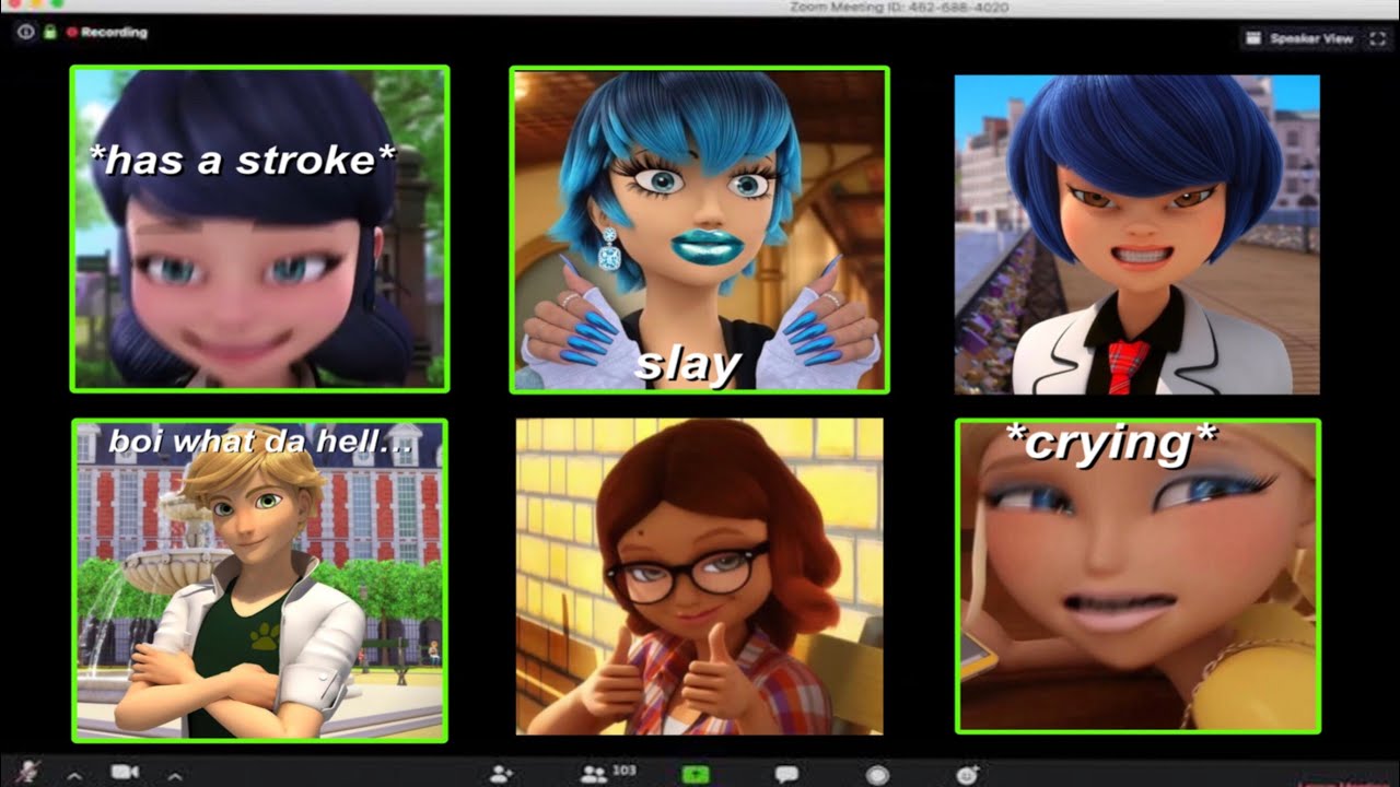 if miraculous characters went on a zoom call…!