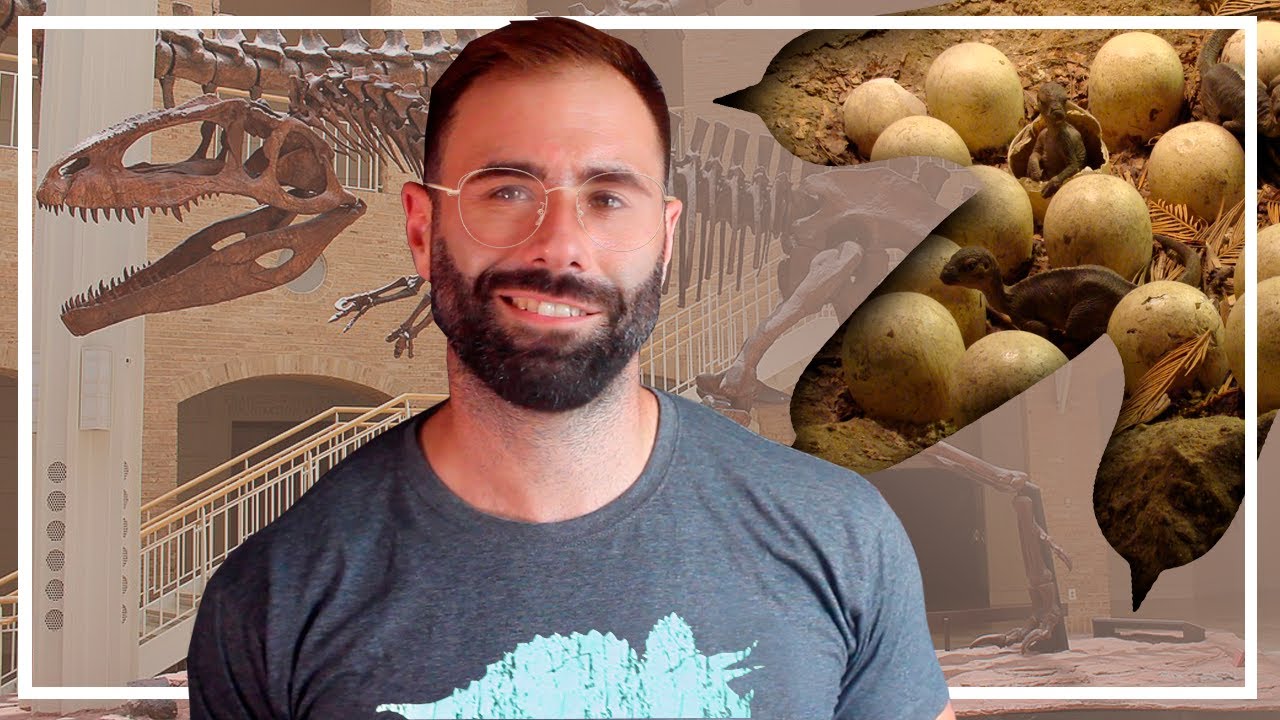 🦖 ¿Cómo sabemos si dos especies de DINOSAURIO son parientes? ¿Defendían a sus crías? - CONTESTANDO