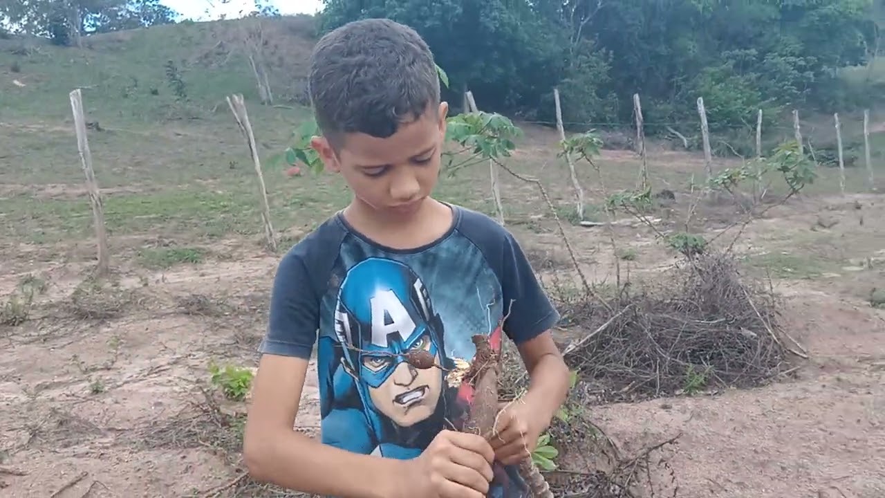 Luiz arrancando mandioca