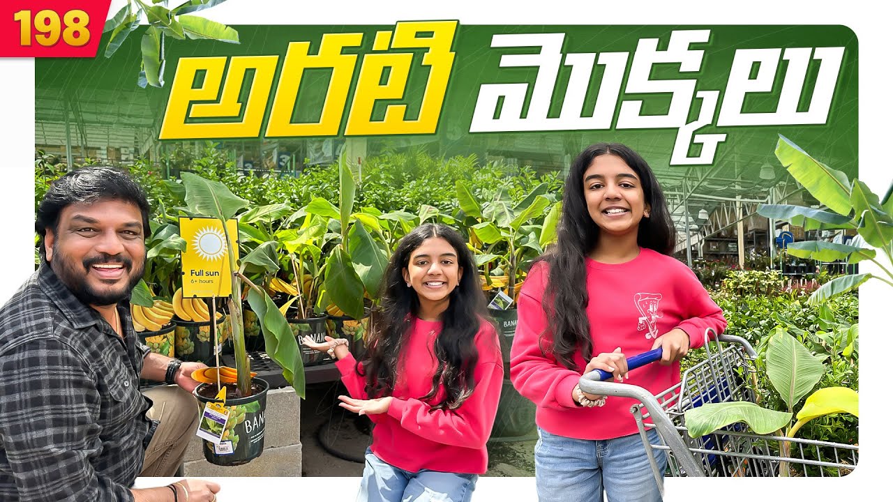 Banana Plants 🌱నాటుతున్నాము | VAAS Vlogs | Telugu Vlogs