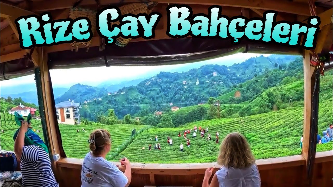 Rize Çay Bahçeleri Ziyaretimiz / Çeçeva - Çayeli