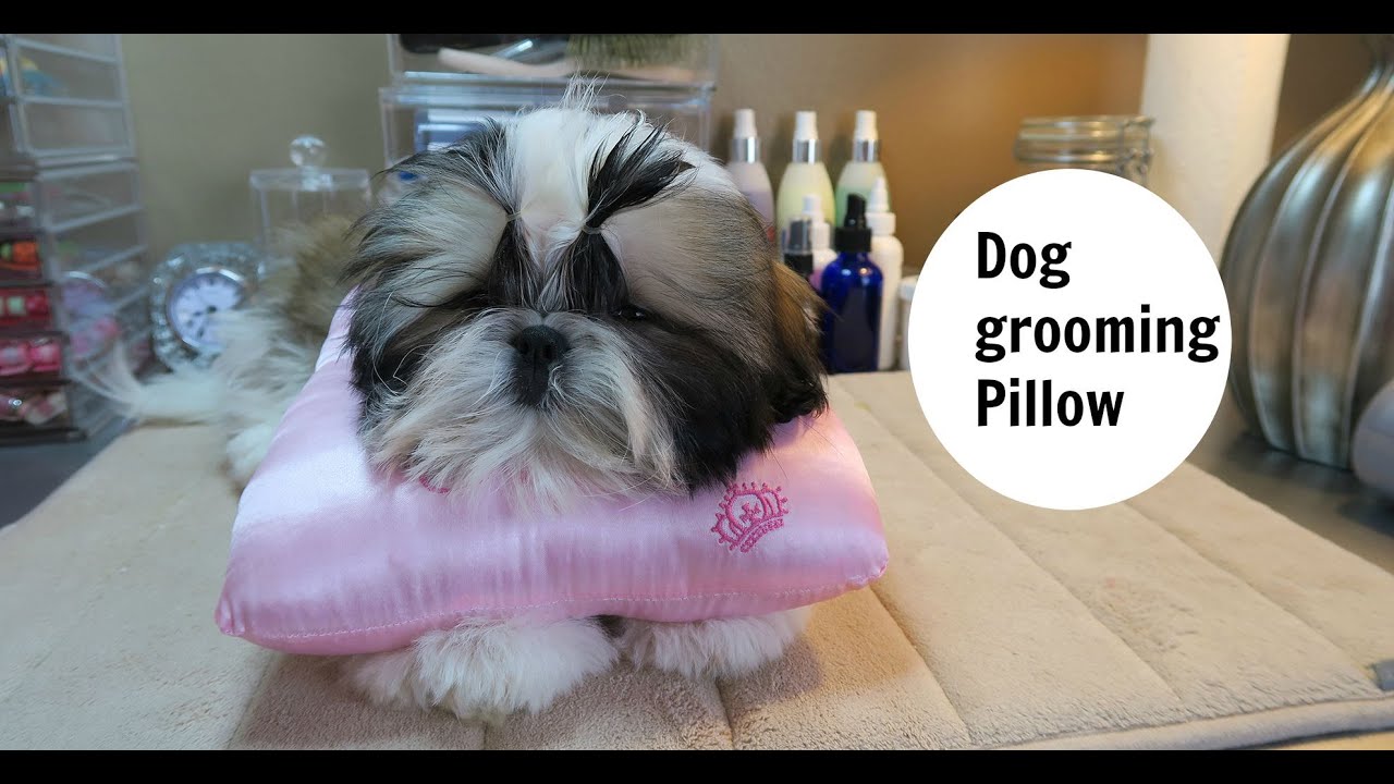 DOG GROOMING PILLOW