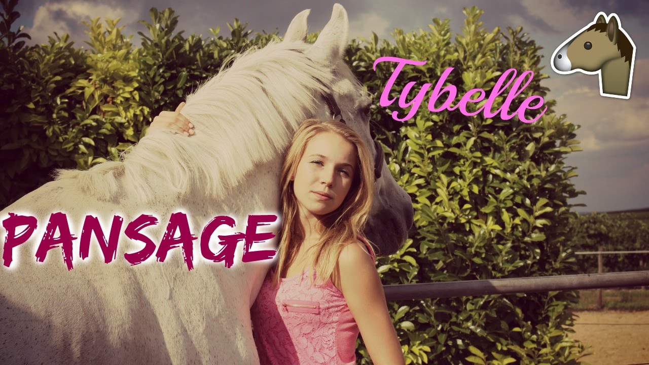 Tuto : Faire un pansage