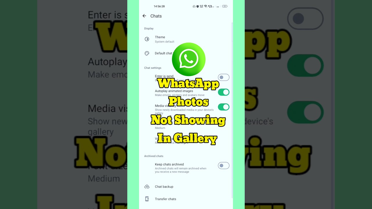 whatsapp ke photo gallery me kaise laye ||whatsapp images not showing in gallery||#shorts #viral