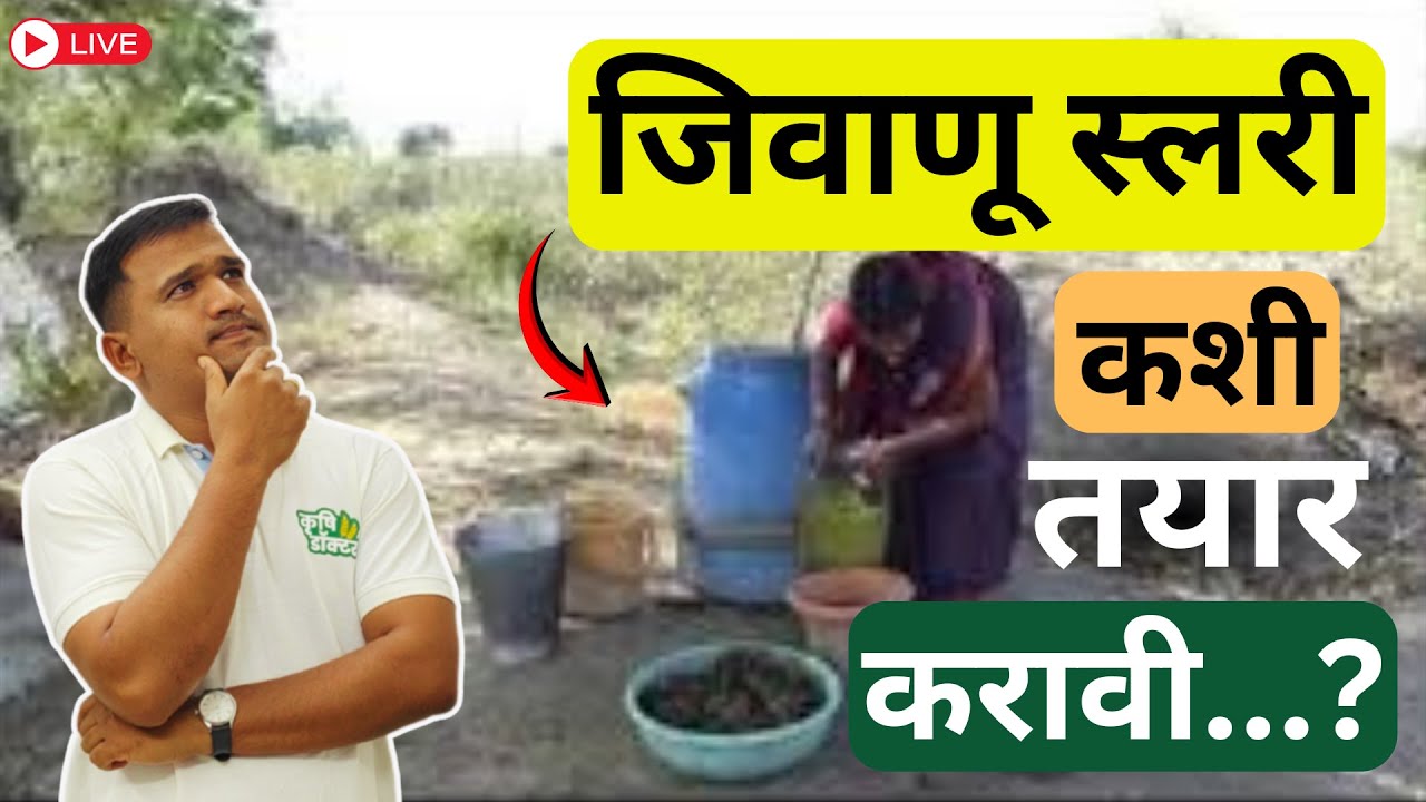 जिवाणू स्लरी कशी तयार करावी? | jiwanu slurry | Bio Slurry Preparation | Krushi Doctor