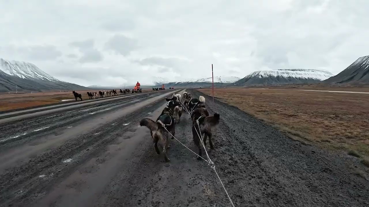 Dog Sledding in Svalbard, Norway
