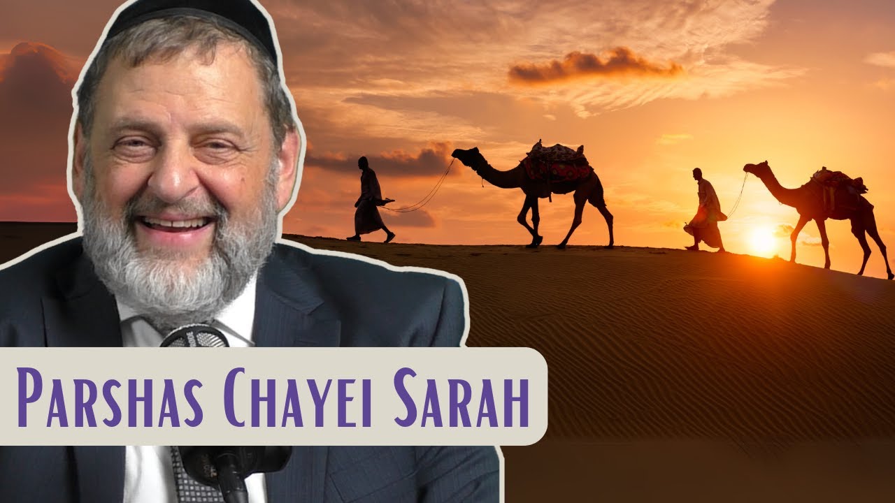 Chayei Sarah - Chesed Is For Everyone | Rabbi Dovid Orlofsky