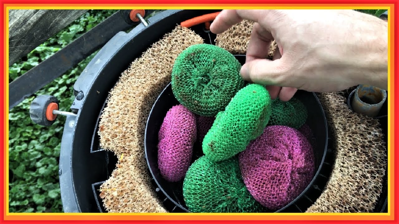 how to clean aquarium filter - one year media update