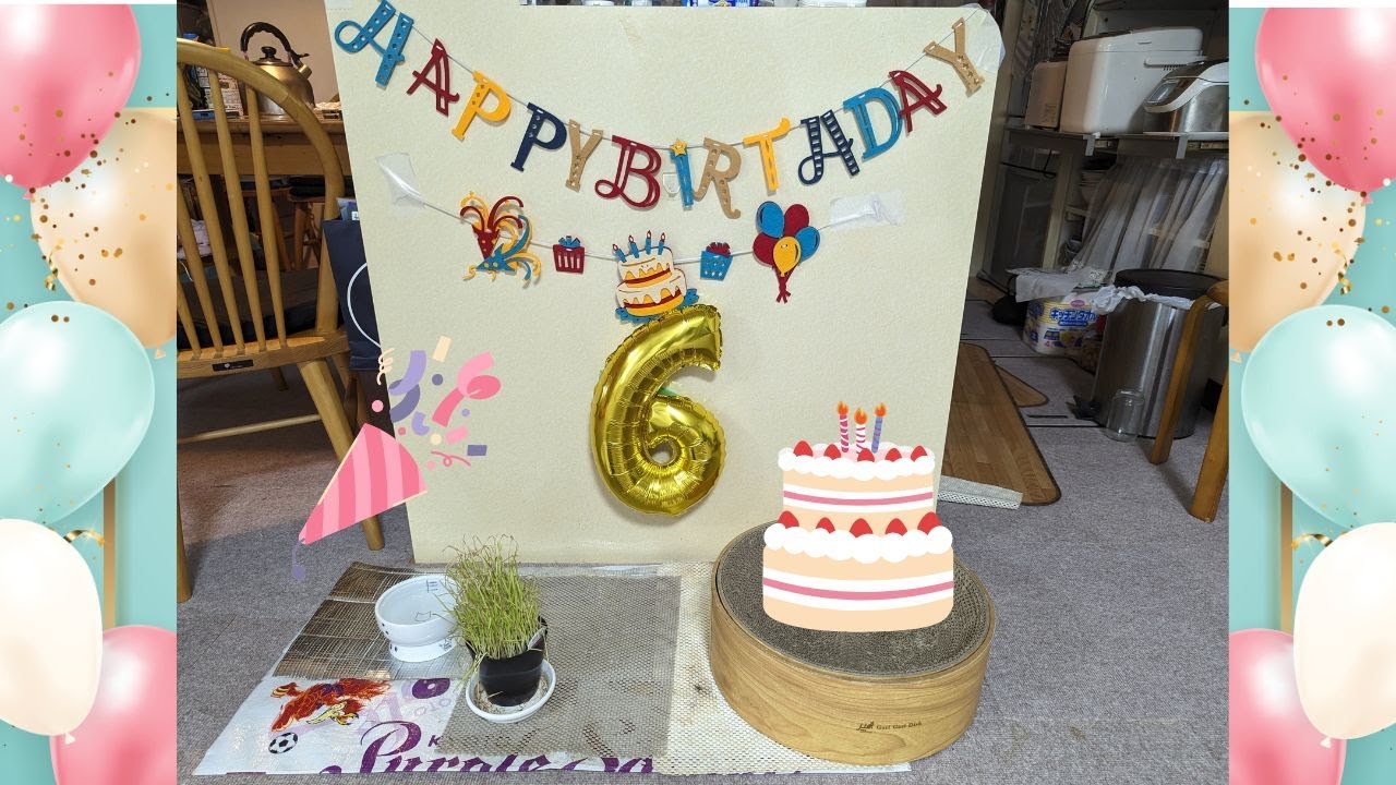 ぽぽちゃん、お誕生日おめでとう【Happy birthday, Popo-chan!】