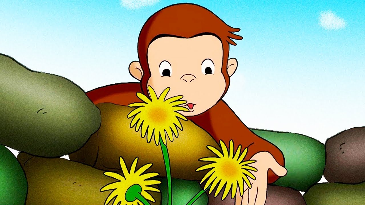 George O Curioso 🐵Fora Vacas! 🐵 Desenhos Animadoss