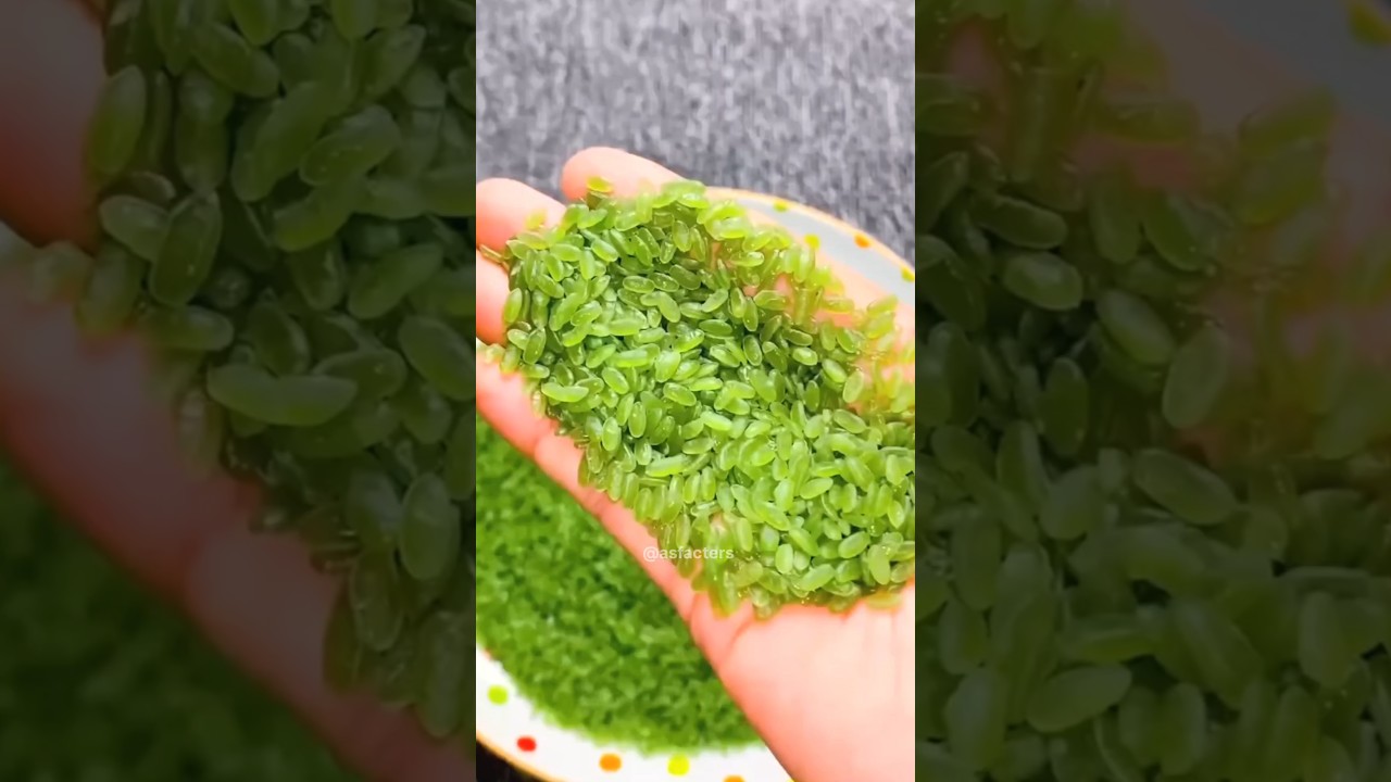 Forest Bamboo Rice || Rarest Bamboo Rice