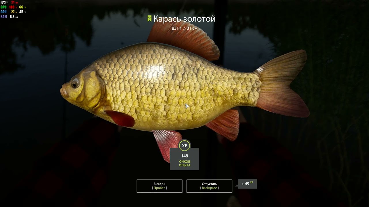 Russian Fishing 4  Radeon RX550 4gb
