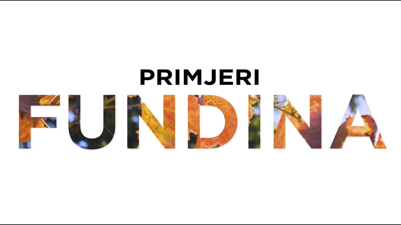 Primjeri Fundina