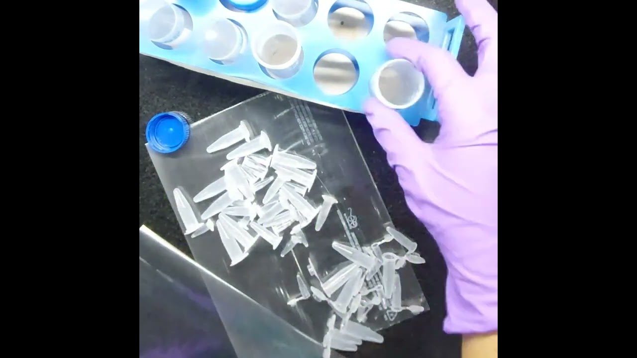 DEPC treatment for RNA Isolation