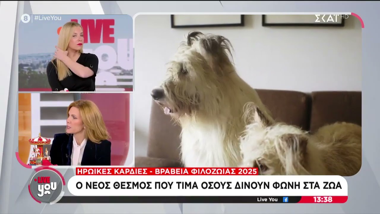 «Ηρωικές Καρδιές» & Αθόρυβα Πυροτεχνήματα στο Live You του ΣΚΑΪ