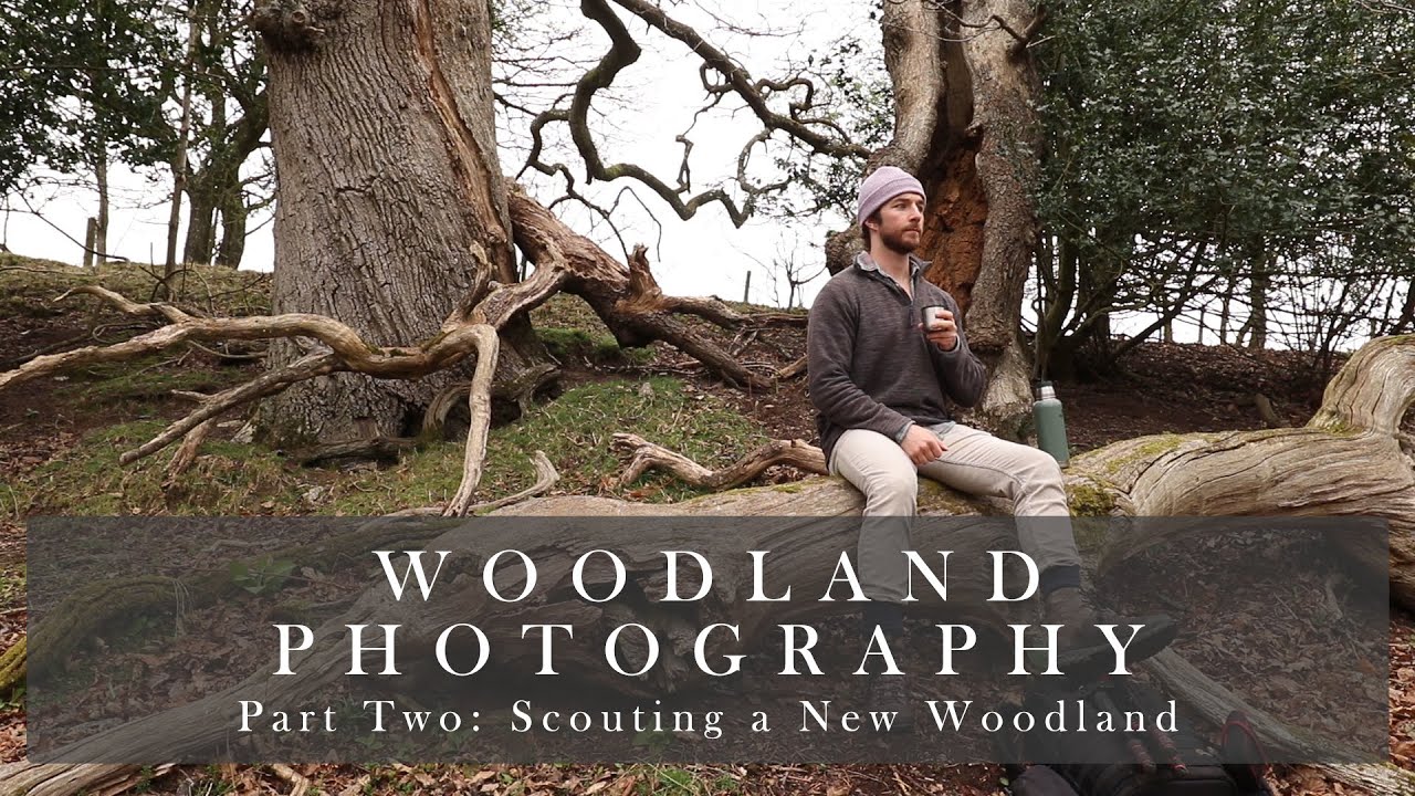 Part Two - Scouting a New Ancient Oak Woodland