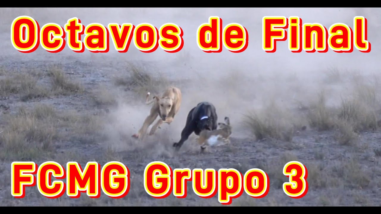 Octavos de Final Grupo 3, FCMG finca Los Prados sábado 2 Diciembre 2023