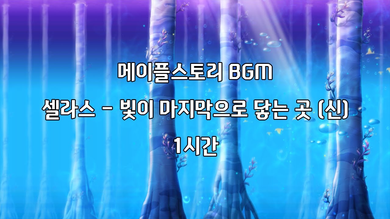 메이플스토리 BGM [셀라스 - 빛이 마지막으로 닿는 곳 (신)]