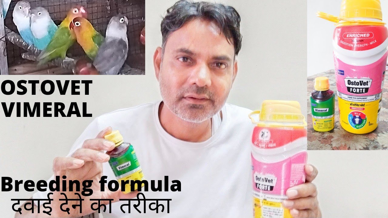 What is the use of Ostovet? (How do I use Ostovet?)बर्ड् अच्छी साइज/ज्यादा अंडे/खूबसूरत पंखों के लिए