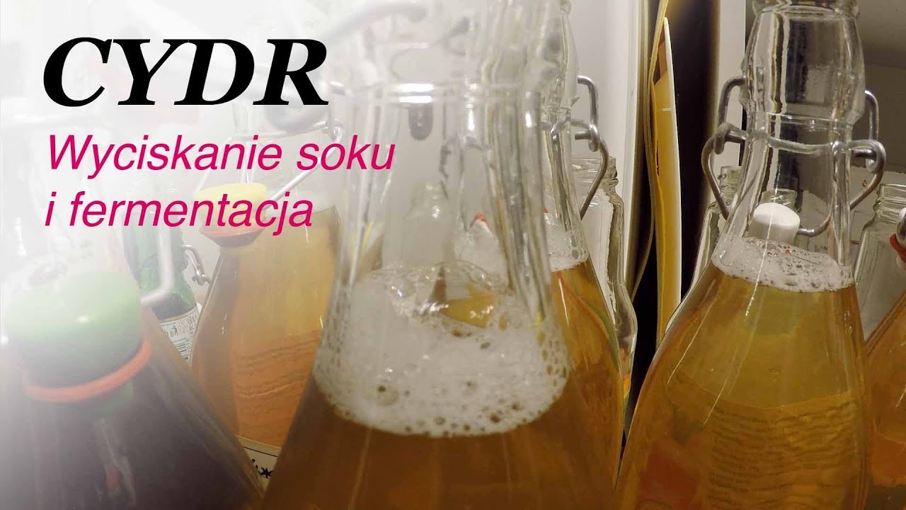 Cydr - wyciskanie soku i fermentacja