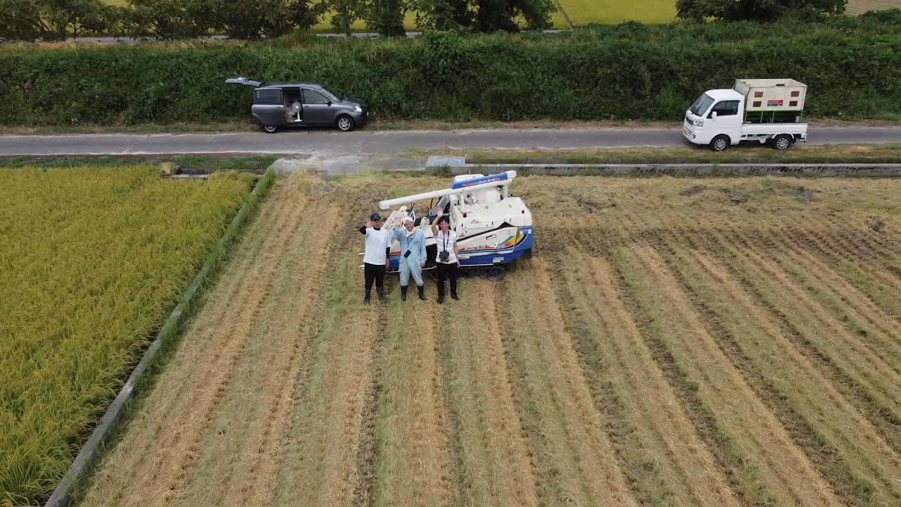 2023 9 2 コシヒカリの稲刈り空撮　コンバイン_イセキ_HVG428　rice harvesting in japan