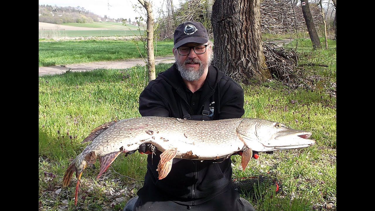 113cm. Biggggg :)