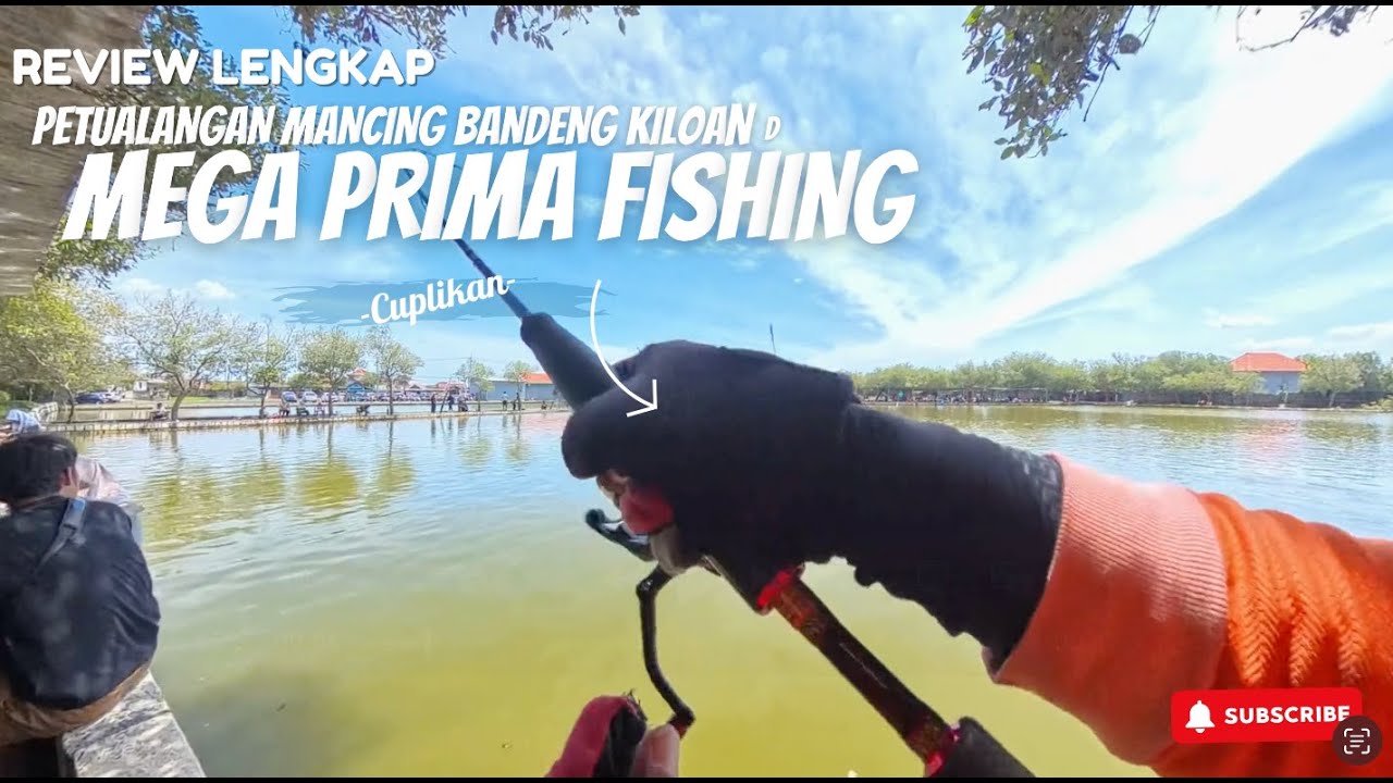 Review Lengkap Kolam Pancing MEGA PRIMA FISHING, GAK PUNYA ALAT PANCING MASIH BISA MANCING.