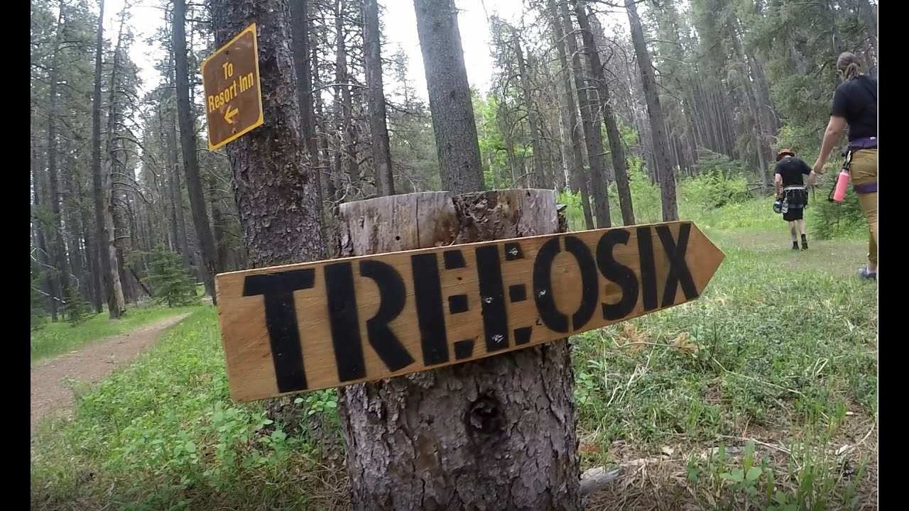 Treeosix Adventure Parks (Cypress Hill) Zip Line Video