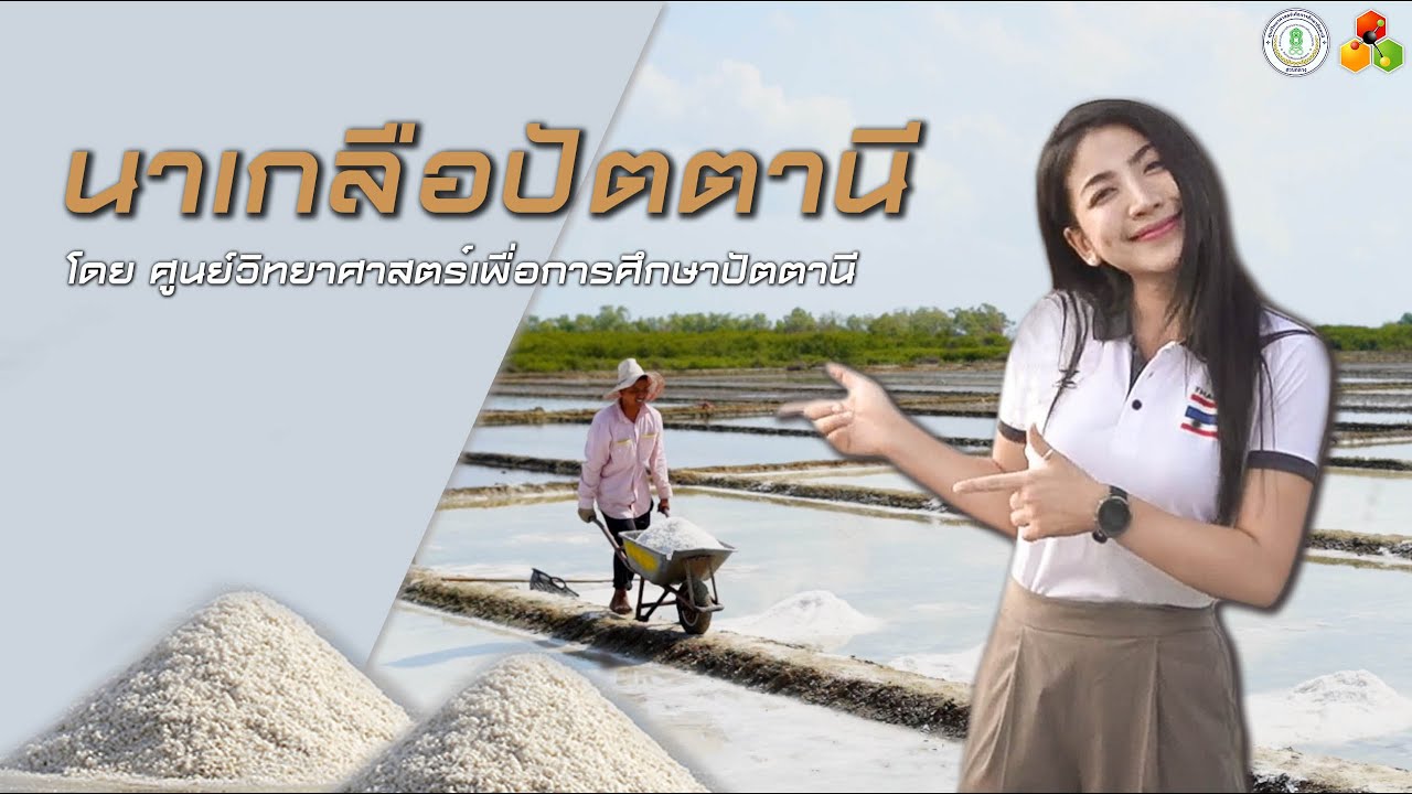 นาเกลือปัตตานี - ศูนย์วิทยาศาสตร์เพื่อการศึกษาปัตตานี
