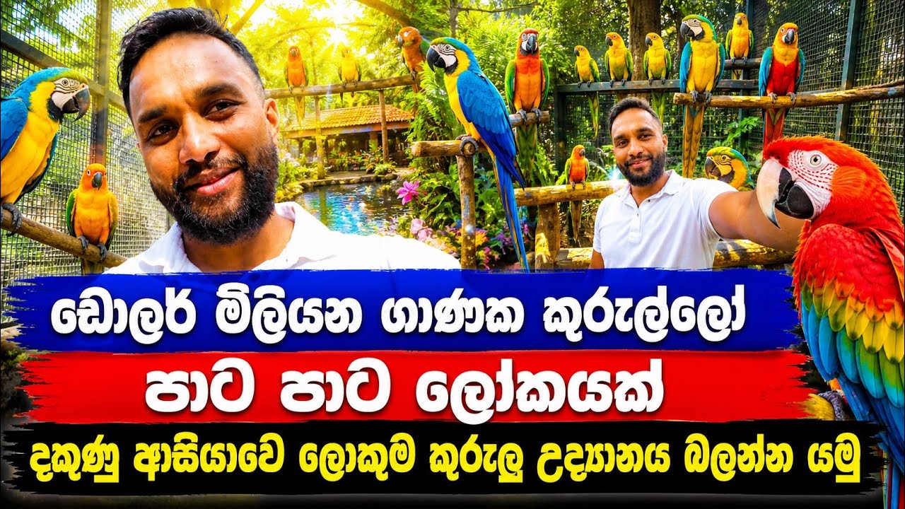 දකුණු ආසියාවෙ ලොකුම කුරුලු උයන birds park hambanthota