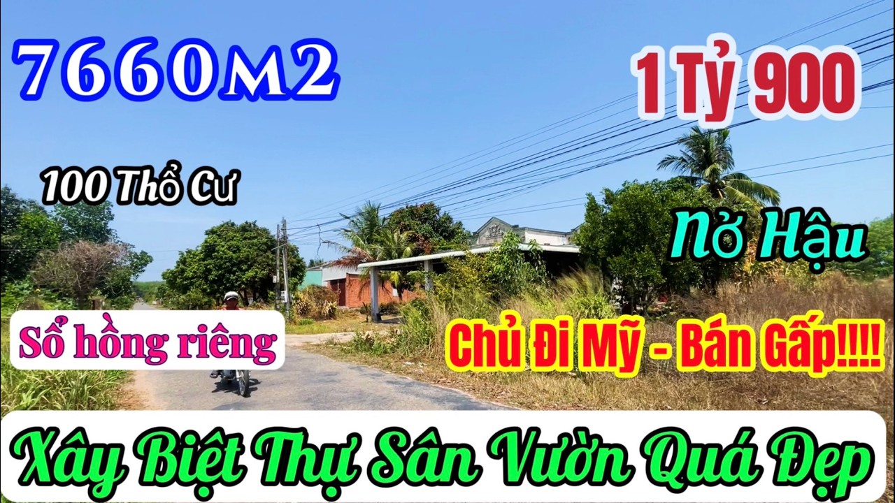 💸 CHỦ ĐI MỸ BÁN THÁO 7660m2 ĐẤT MẶT NHỰA 💎 NỞ HẬU ĐẠI LỘC – GIÁ CHỈ 1 TỶ 9 (QUÁ RẺ!) 😱