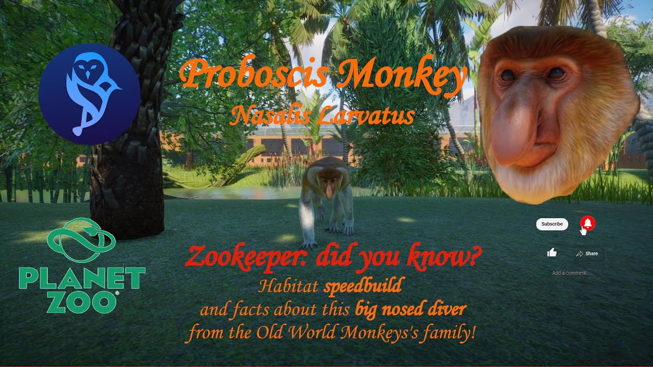 Zookeepers: did you know? Proboscis Monkey facts & habitat! - #2 - [Planet Zoo]