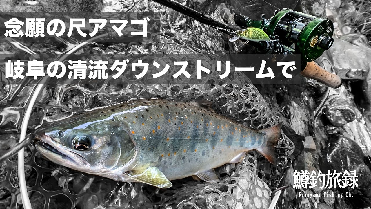 【尺アマゴ】岐阜の清流でなんとか出会えました / Megabass GREAT HUNTING HUMPBACK