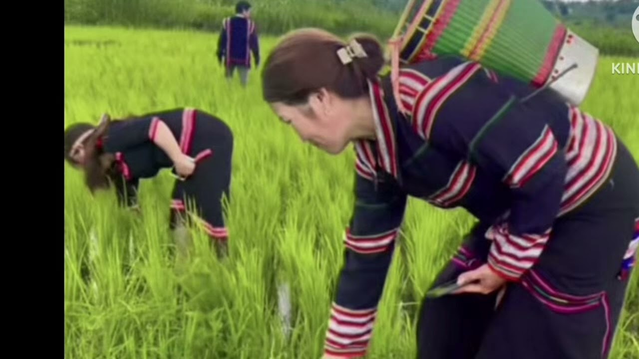 Hmư toloi doh jrai ami soạn plơi wel ia ko jeng siu 81