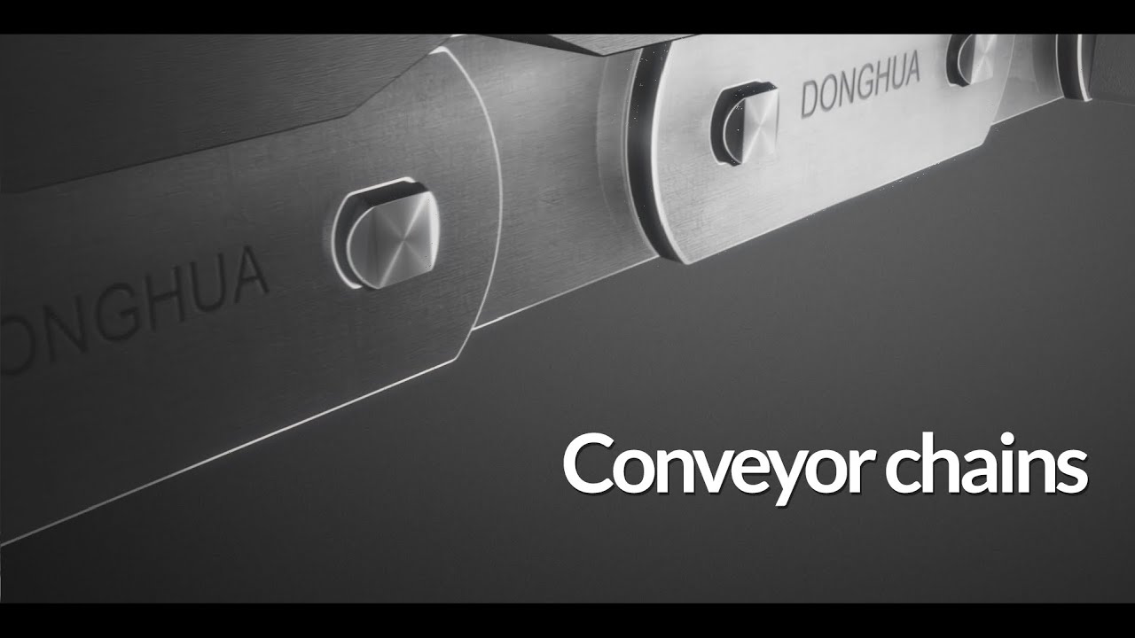 Conveyor Chains - Donghua UK