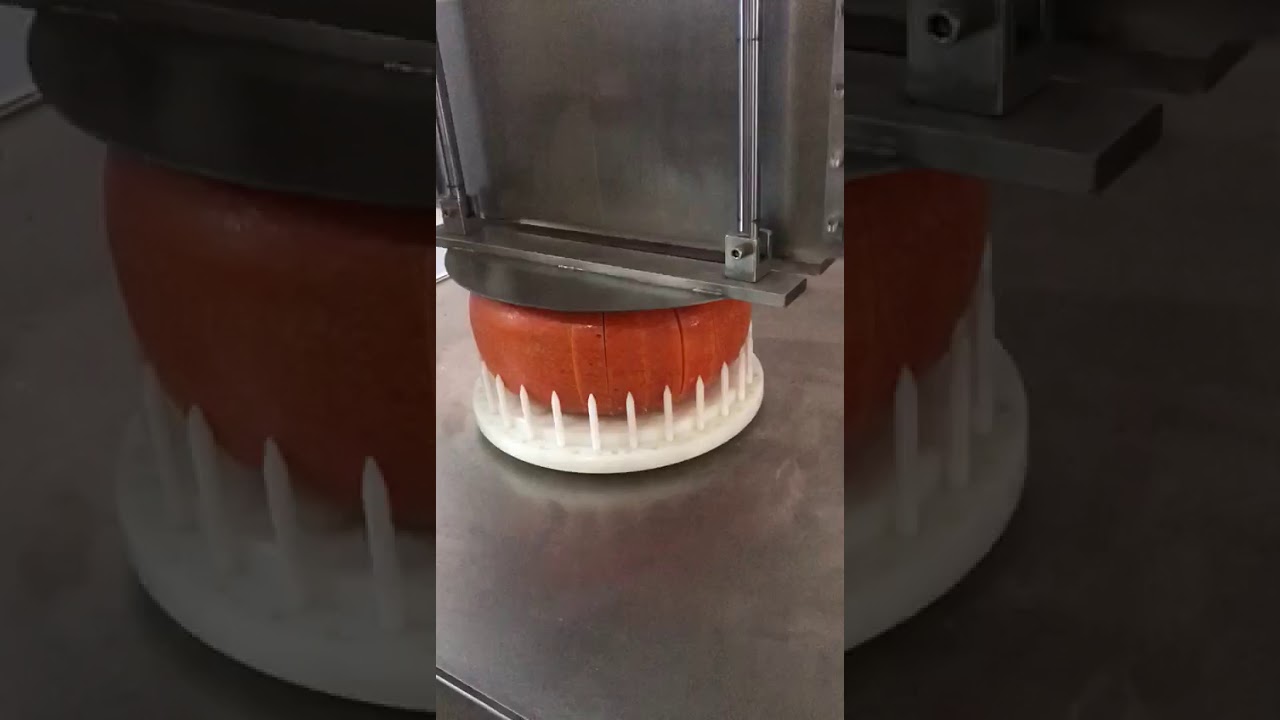 Cheese cutting machine | SC Consultancy