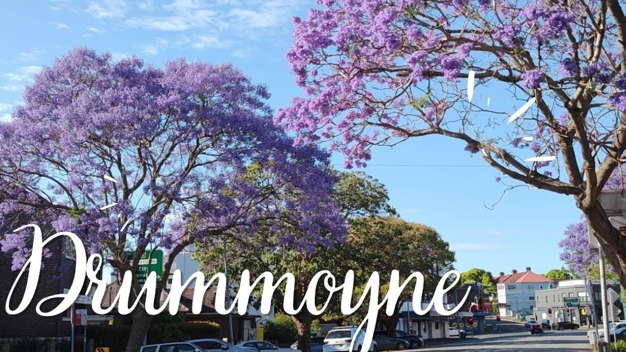 Drummoyne | Sydney | Australia | Ferry Wharf and main street walk | Jacaranda