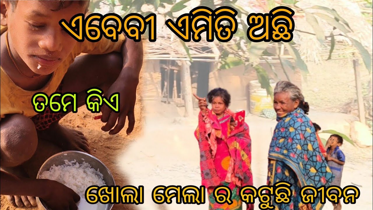 ଦେଖିବା ମନା❗ଲଜ୍ଜ୍ୟା ଲାଗୁଛି #travel #travellife #tribellife #ranjanmitaexpressvlog 