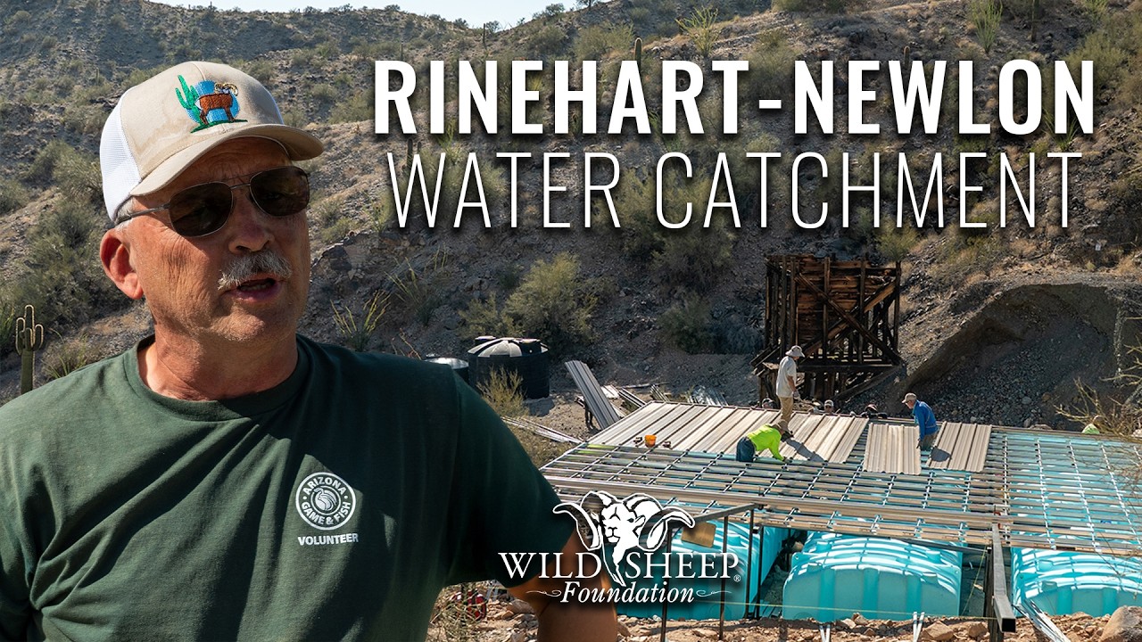 Rinehart-Newlon Water Catchment